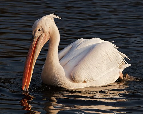 Tangalle Wetland Park Photo